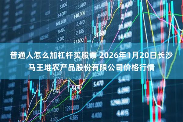 普通人怎么加杠杆买股票 2026年1月20日长沙马王堆农产品股份有限公司价格行情
